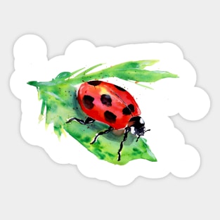 Lady Bug on a Green Leaf Sticker